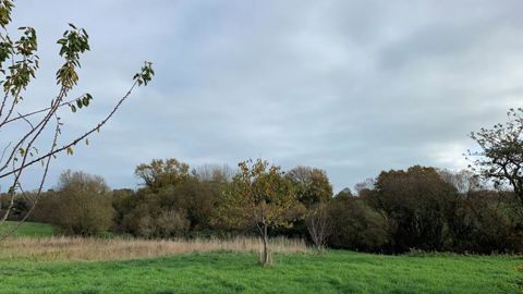 Après des températures records sur une partie de la France, le mercure va redescendre cette semaine, annonce Météo-France. © Oriane Dieulot Après des températures records sur une partie de la France, le mercure va redescendre cette semaine, annonce Météo-France. © Oriane Dieulot